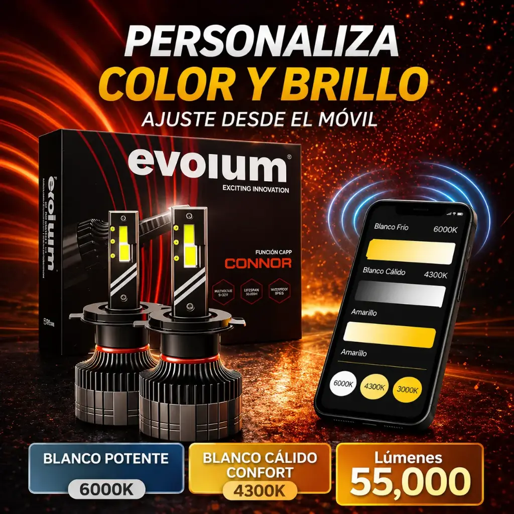Evolum Connor varias medidas