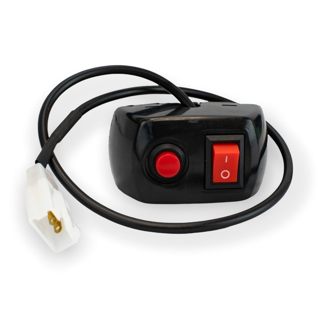 Interruptor automotriz doble
