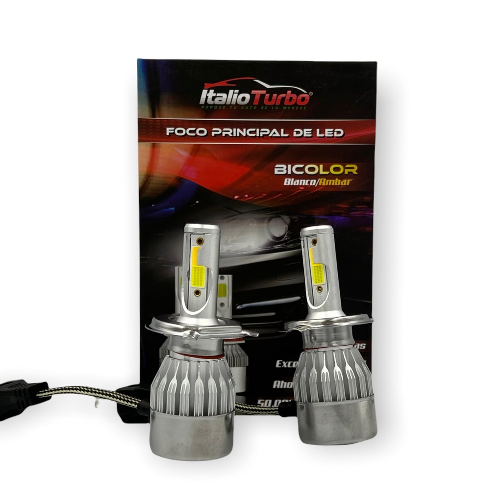 Hyperled Italioturbo bicolor