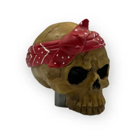 [PRL-DE-RSN-PRT] Perilla de velocidades Pirate Skull