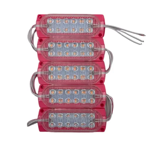 [FML31PK / M12P] Módulo rosa de 12 LED nueva generación tira de 10 piezas