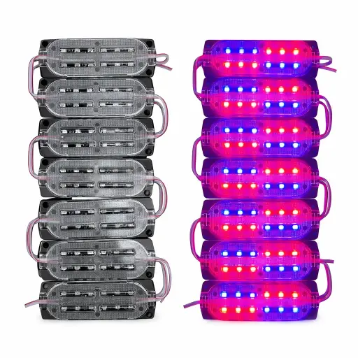 [FML64RBL-SAI] Modulo de 12 LED encapsulado chico rbl (Tira de 20 piezas)